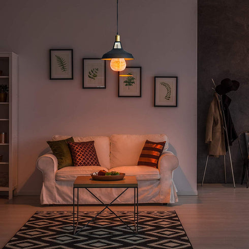 Salt Light Bulb Dimmable, 40 Watt | HIMALAYAN GLOW